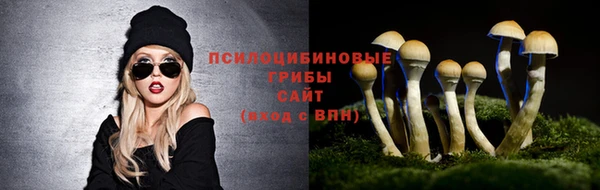 ALPHA-PVP Богородицк