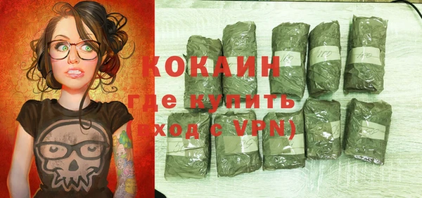 шишки Бородино