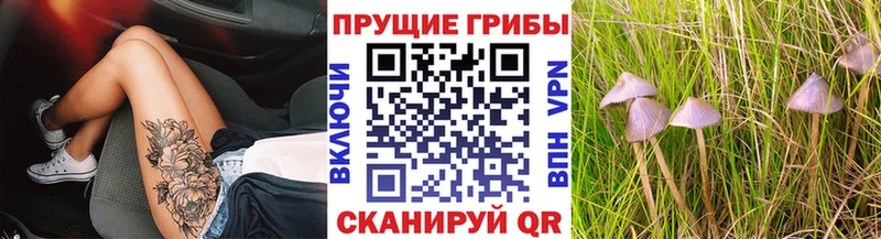 Псилоцибиновые грибы прущие грибы  дарк нет Telegram  Ижевск  наркотики 